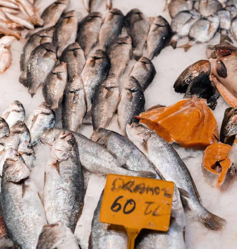 fish on a fish market