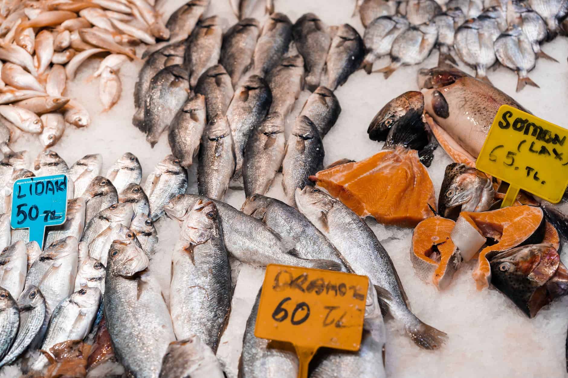 fish on a fish market